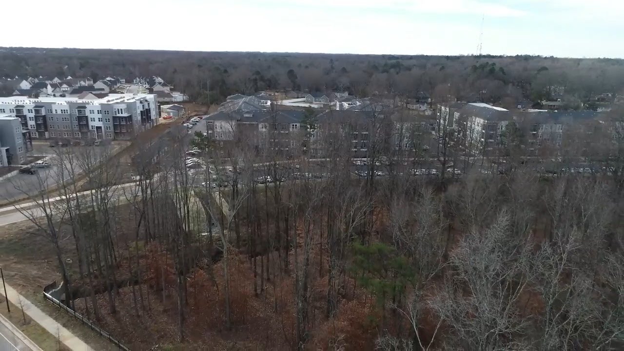 Losing our trees- Building boom threatens Charlotte&rsquo;s prized tree canopy