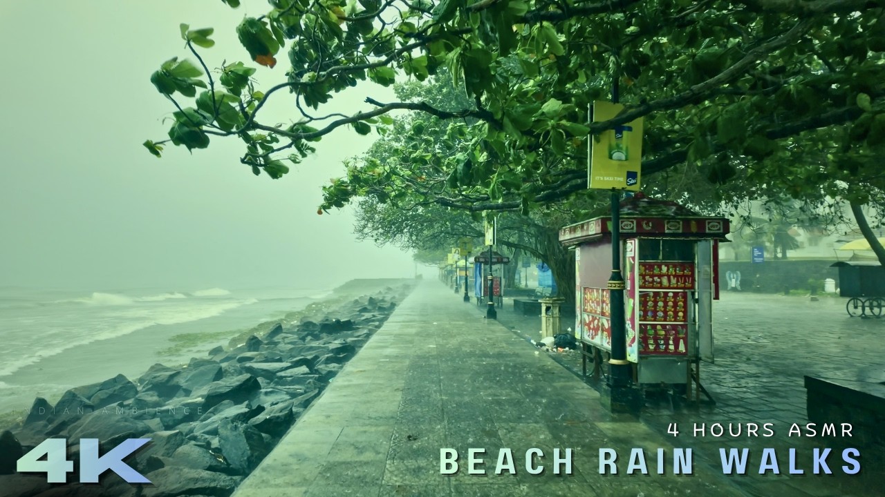 Where Heavy Rain Meets the Ocean 🌧️🌊 | Beach Rain Walks Compilation ASMR for Deep Sleep & Study ⭐