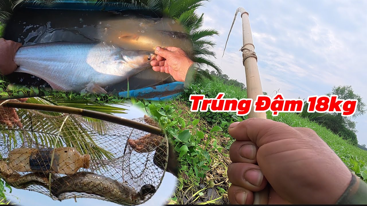 Thăm Lờ Câu Cá Hai Điểm 10 Con Trúng Đậm 18kg Cá / Định Nguyễn Hậu Giang
