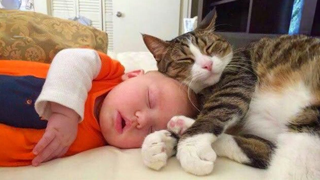 Когда твой кот &mdash; лучшая нянька 👶❤️🐱 Милые котики и маленький человечек