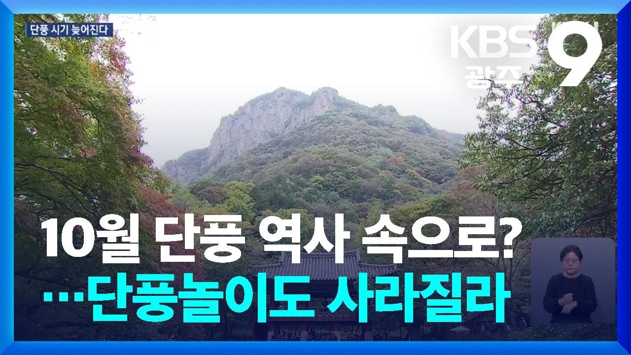 10월 단풍 역사 속으로?…단풍놀이도 사라질라 / KBS  2025.10.29.