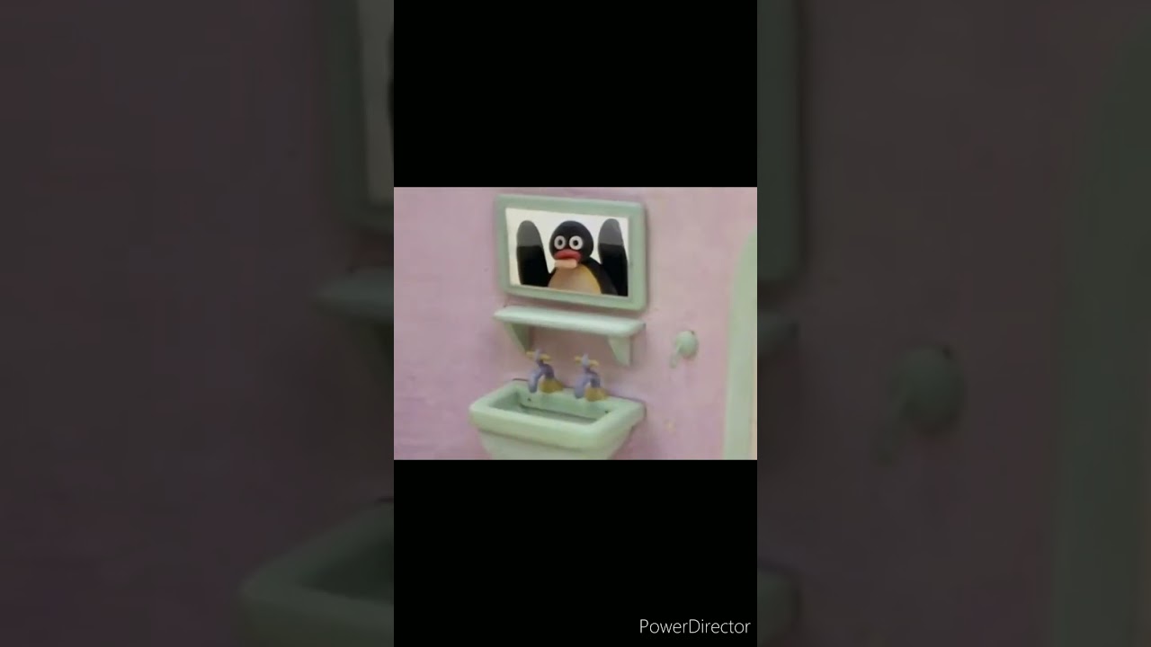 Pingu Mirror Error