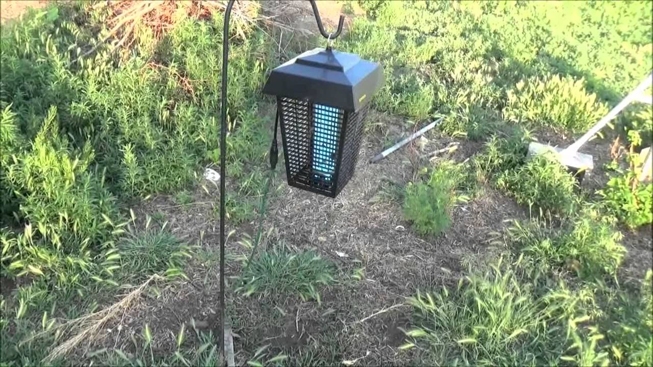 Flowtron BK-80D - Bug Zapper - L2Survive with Thatnub
