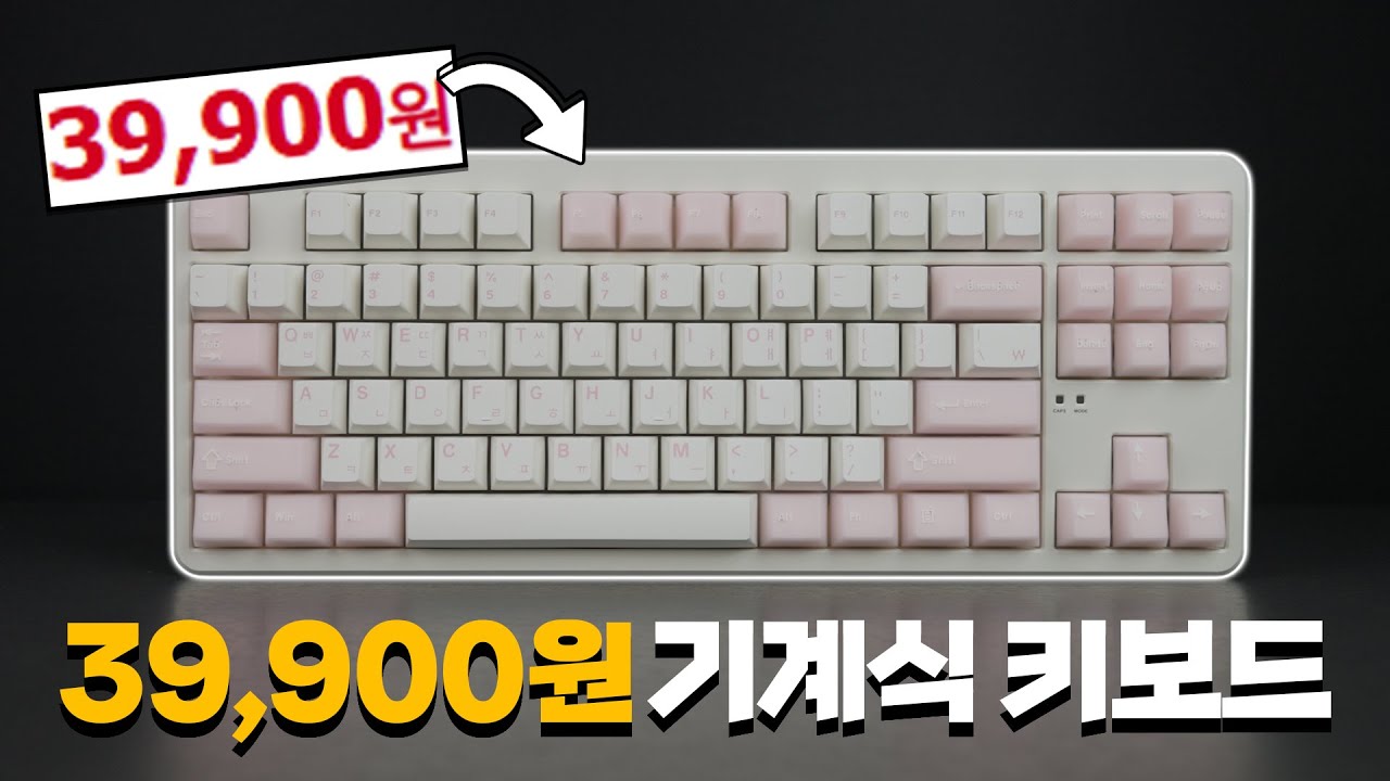 지금 사야 이득인 독거미보다 좋은 기계식 키보드