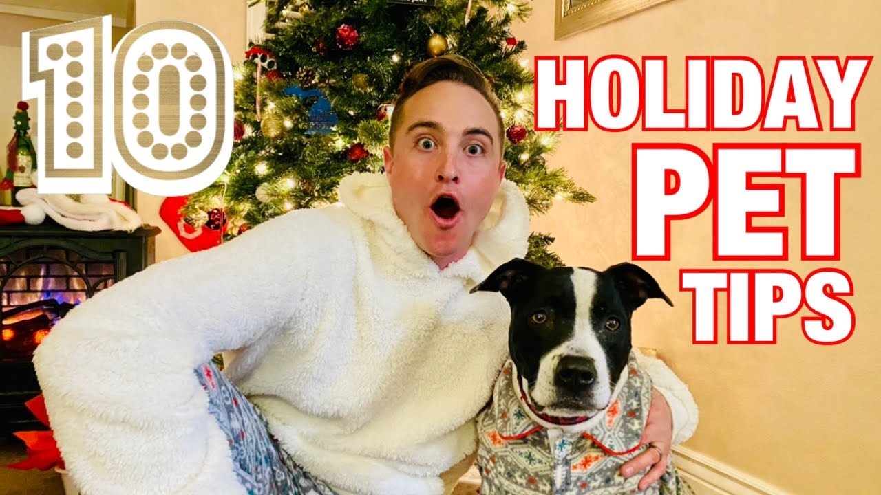 10 Tips To Keep Your Pets Safe During The Holidays!