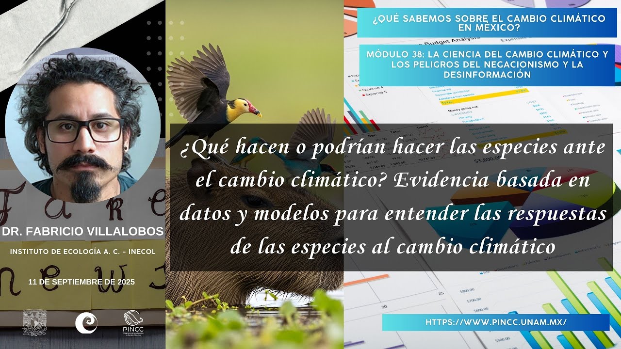 ¿Qué hacen o podrían hacer las especies ante el CC? Evidencia para entender a las especies al CC