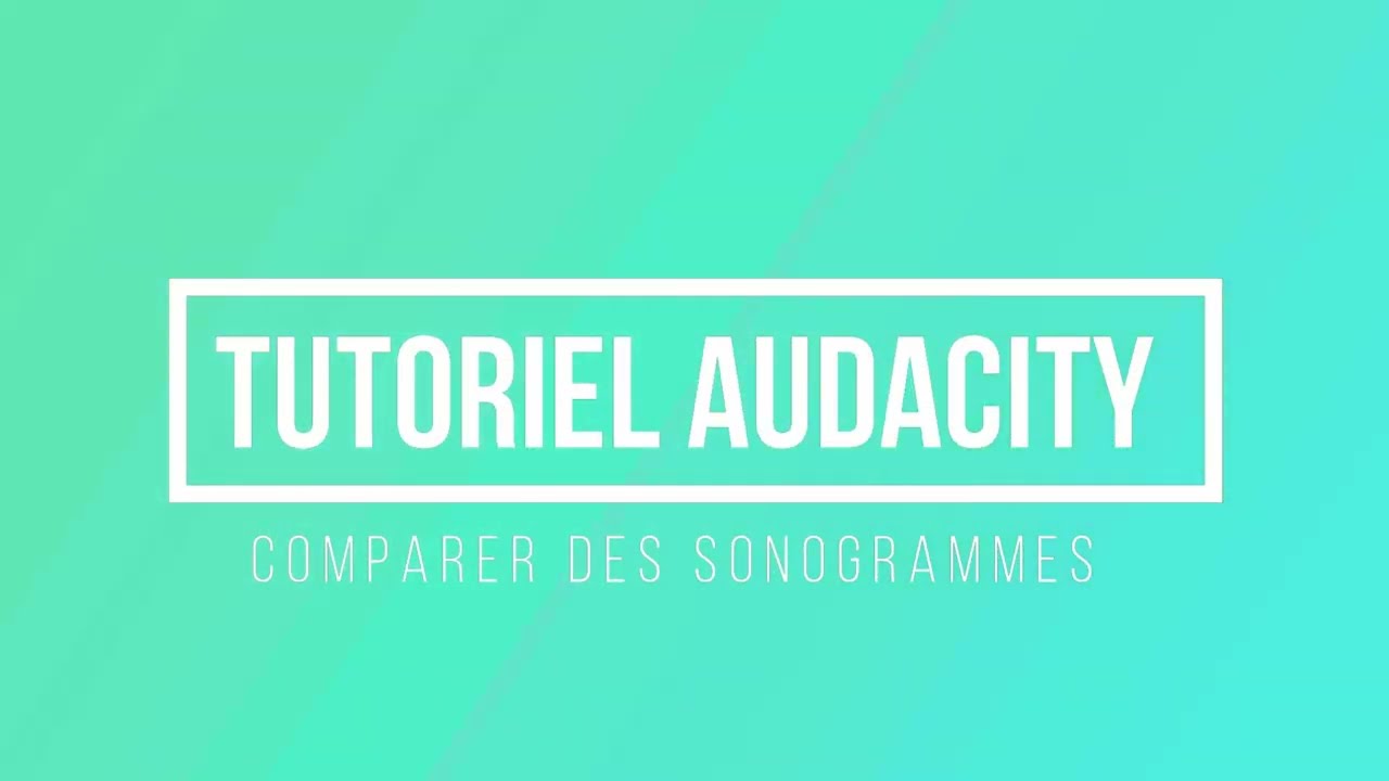 [eSVT] Tutoriel audacity - Analyse de sons