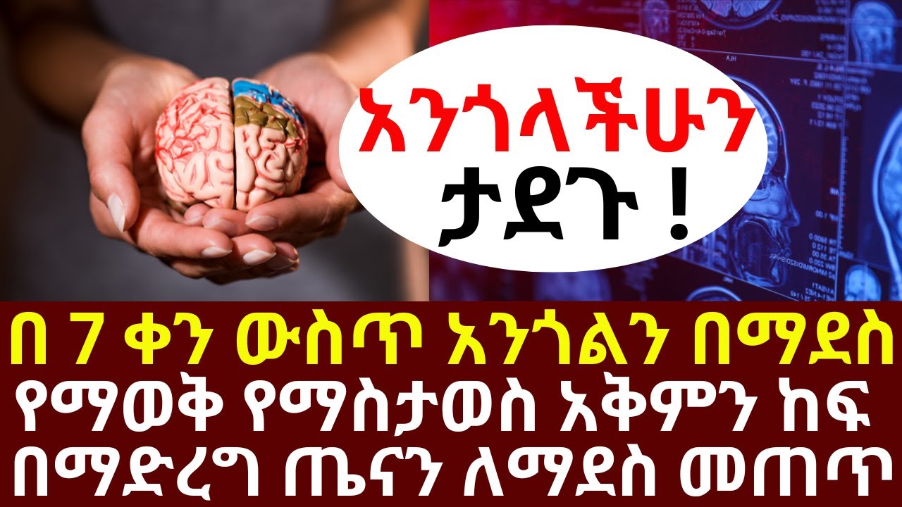 በ 7 ቀን ውስጥ አንጎልን በማደስ የማወቅ የማስታወስ አቅምን ከስሩ ከፍ በማድረግ መላው ጤናን ለማደስ መጠጥ | #drhabeshainfo | #brainhealth