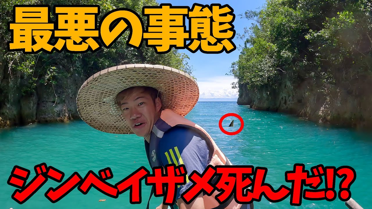 【絶滅した!?】セブ島1安い『ジンベイザメに会えるツアー』に参加してみた結果…【フィリピン】