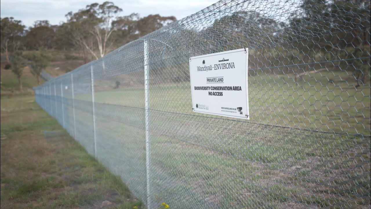 Waratah fencing protects Wandiyali wildlife conservation sanctuary