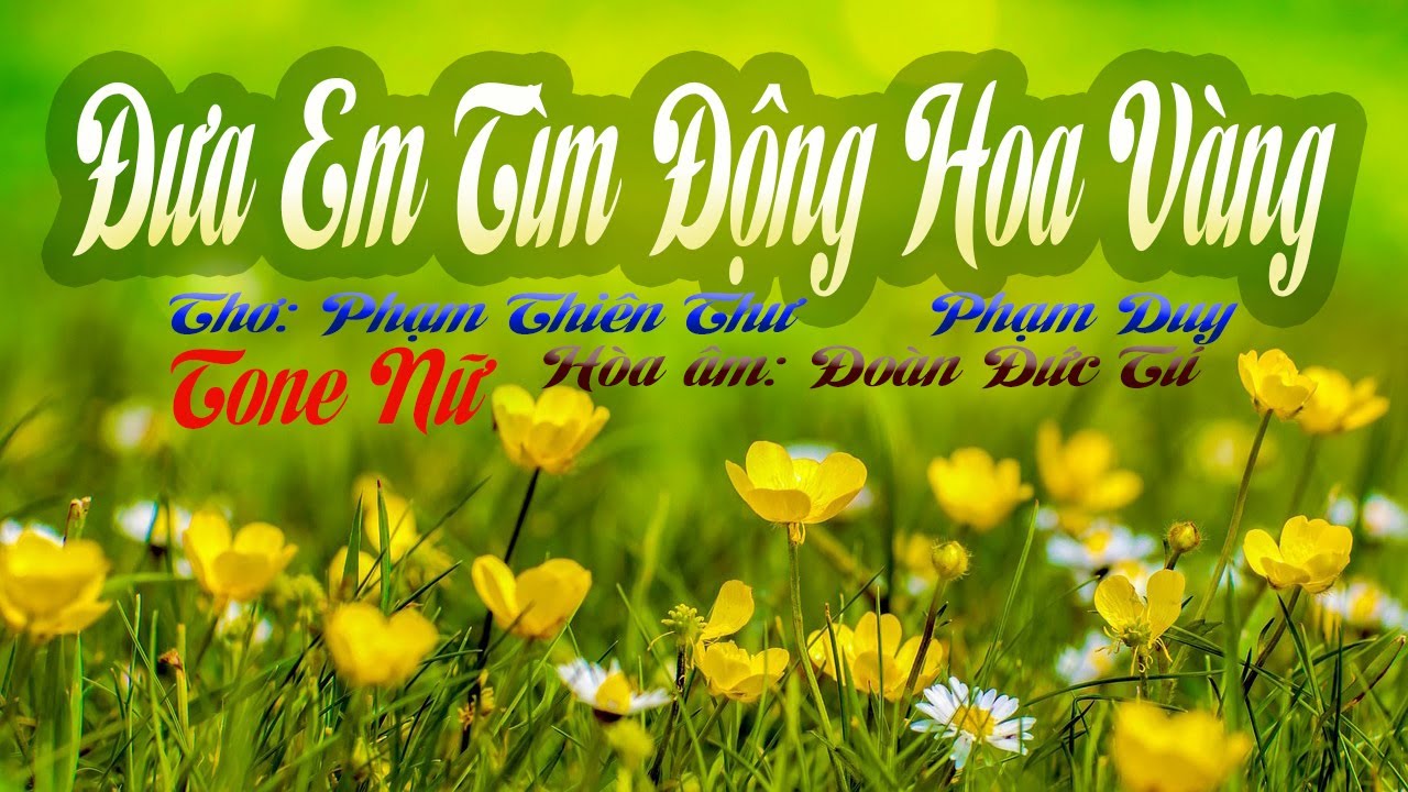 karaoke Đưa Em Tìm Động Hoa Vàng_Giọng Nữ _Phạm Duy