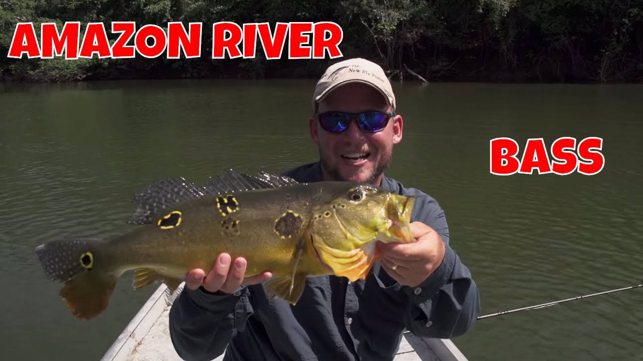 Amazon River Fly Fishing | Brazil