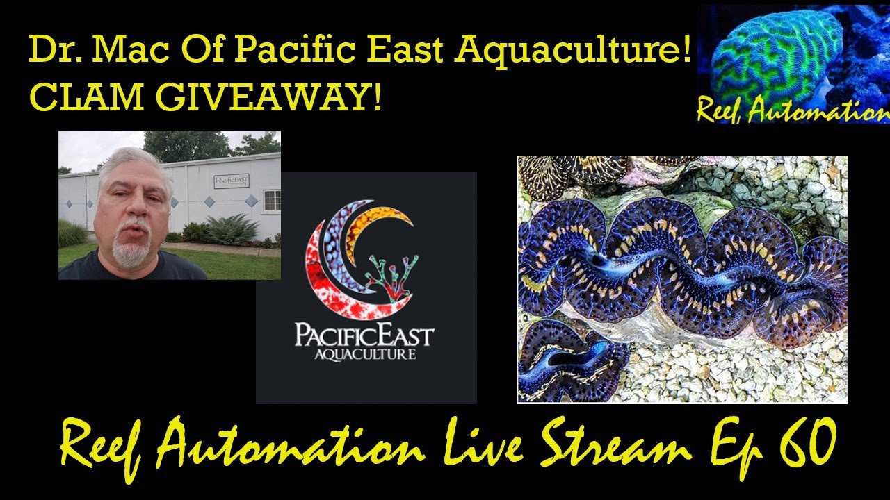 Reef Automation Live Stream Ep 60 - All About Clams With Dr. Mac!