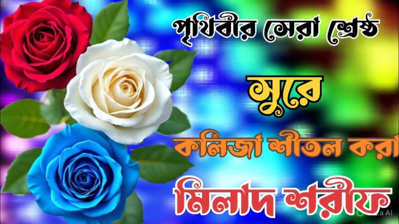 পৃথিবীর সেরা শ্রেষ্ঠ সুরে।। কলিজা শীতল করা মিলাদ শরীফ।। Islamic Darood Tv. 