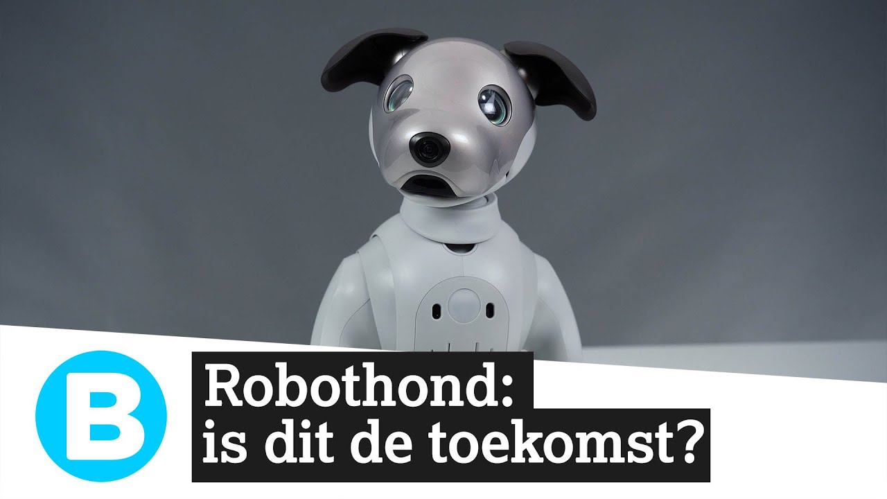 Robothond Aibo: je gaat een beetje van 'm houden!