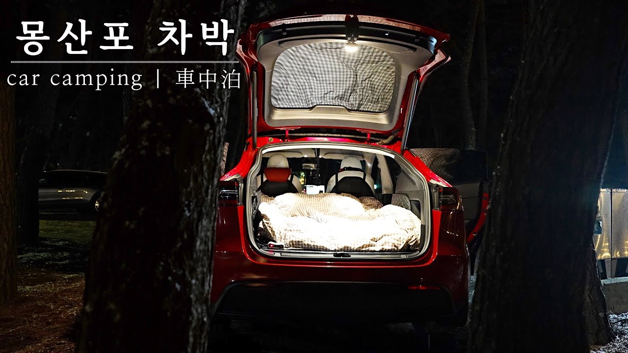 [환경부 급속] 테슬라 모델Y와 함께 떠나는 몽산포 야영장 차박 | car camping | 車中泊 | ASMR