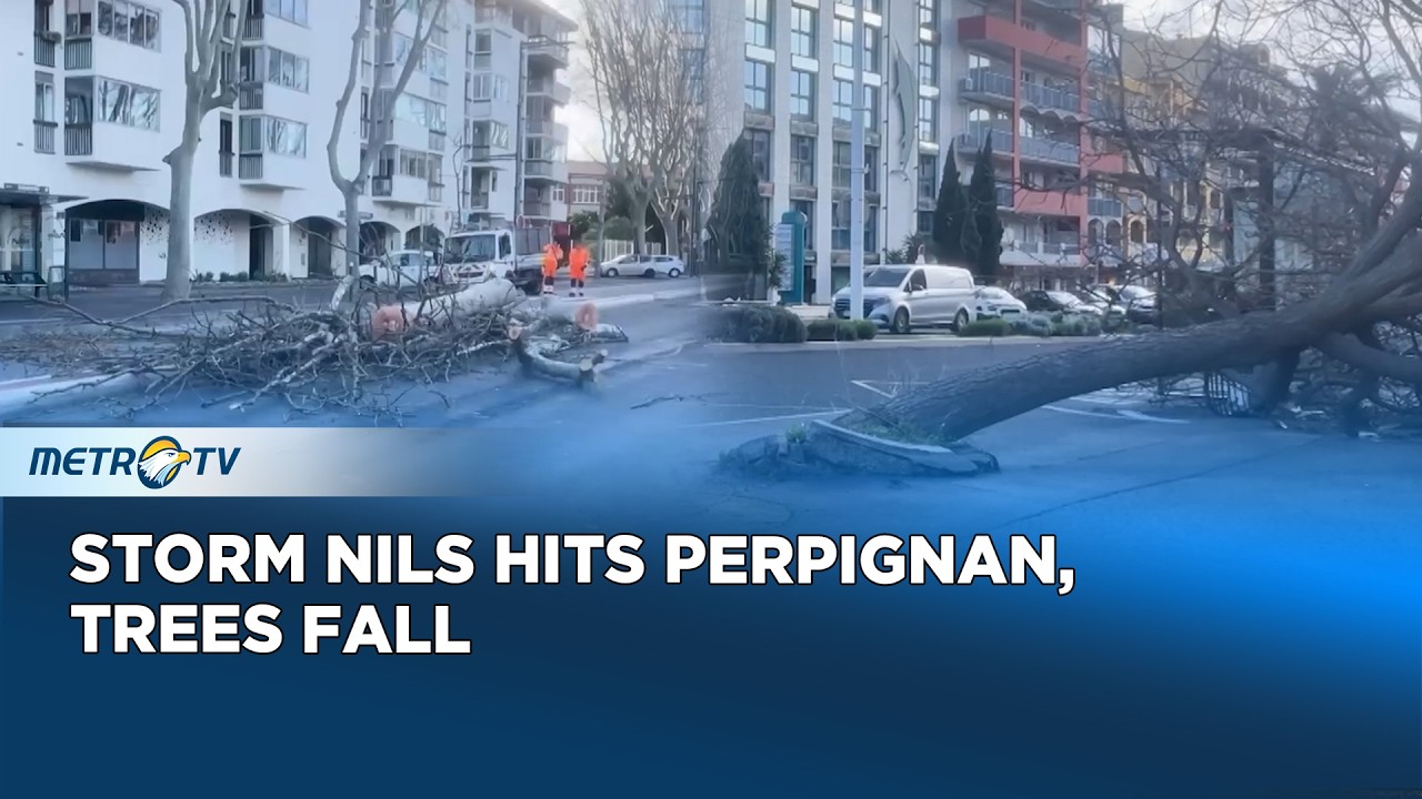 Chaos in France Due to Storm Nils