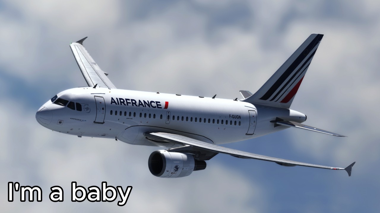 This Is the World&rsquo;s Smallest Airbus