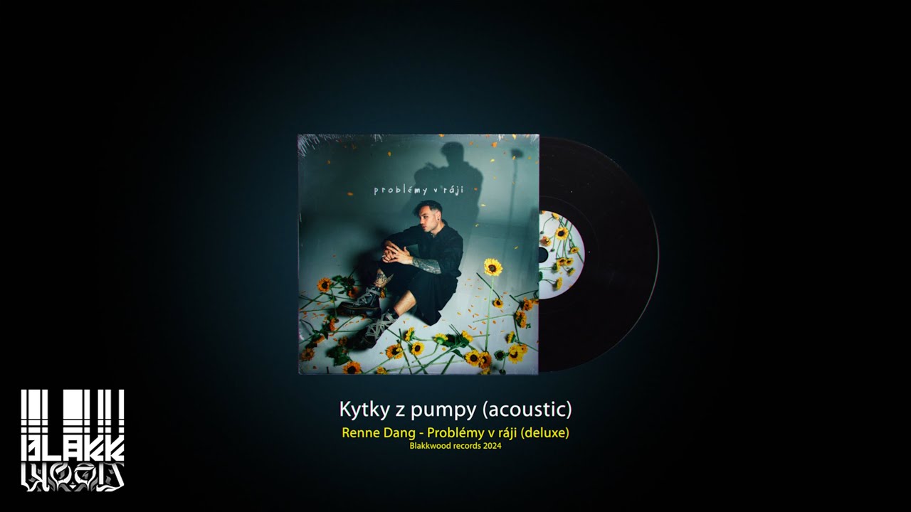 Renne Dang - kytky z pumpy [acoustic] (TEXT)