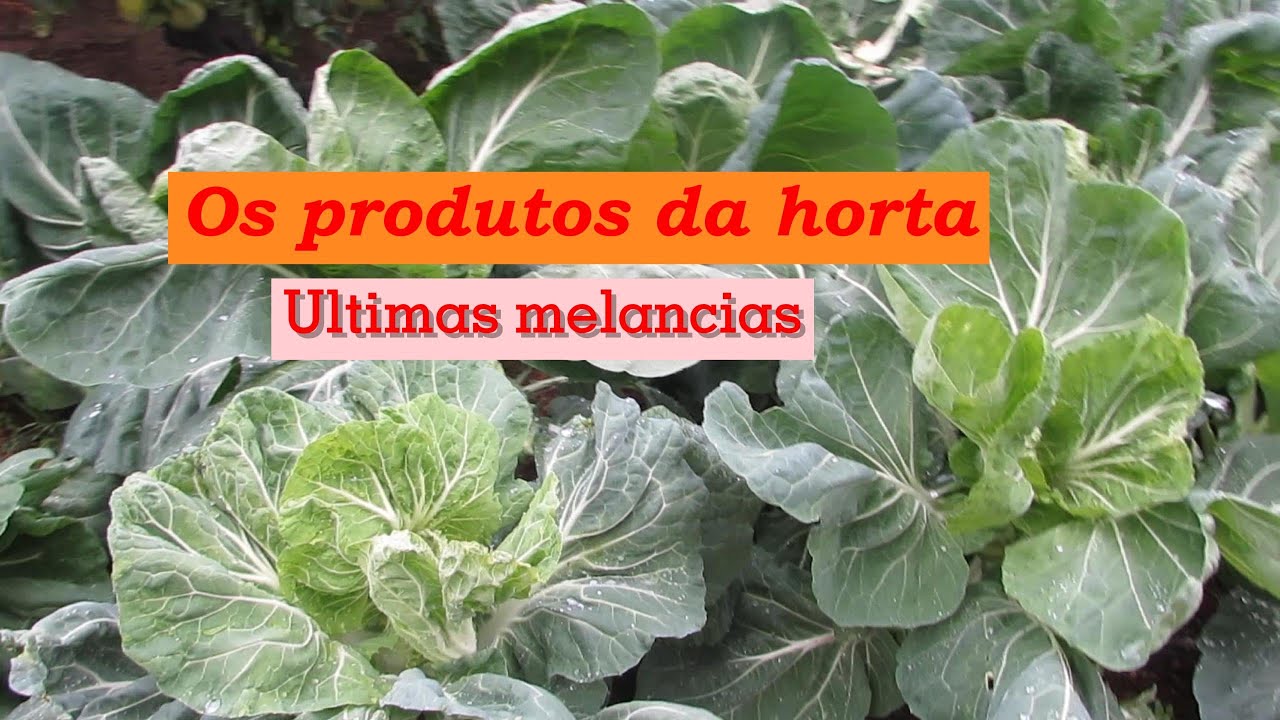 Todo o trabalho compensa