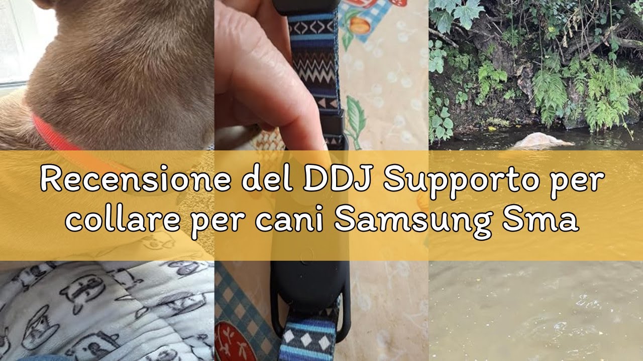 Recensione del DDJ Supporto per collare per cani Samsung Smart Tag 2, custodia impermeabile in silic