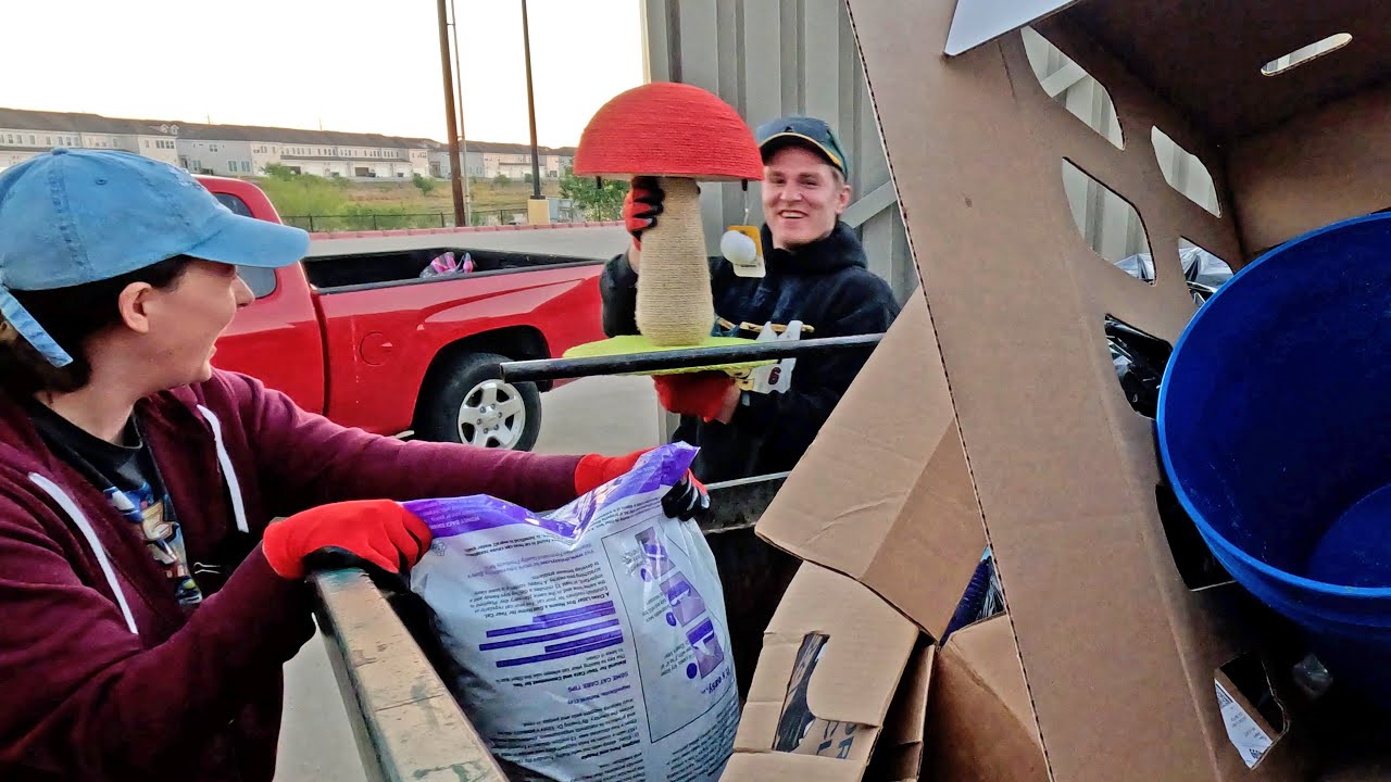 Dumpster Diving in the Dark! Pet Store Score, Food, and More from Retail!