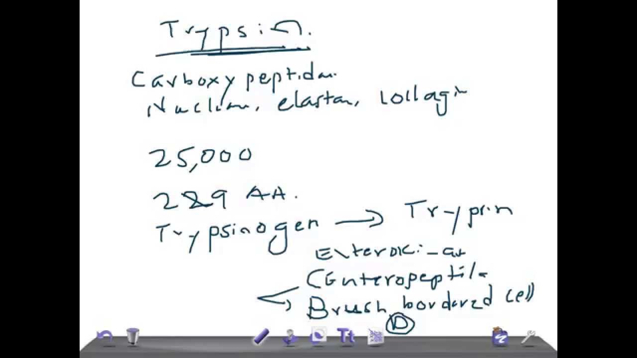 Medical Video Lecture, PHYSIOLOGY: Trypsin & Trypsin inhibitor
