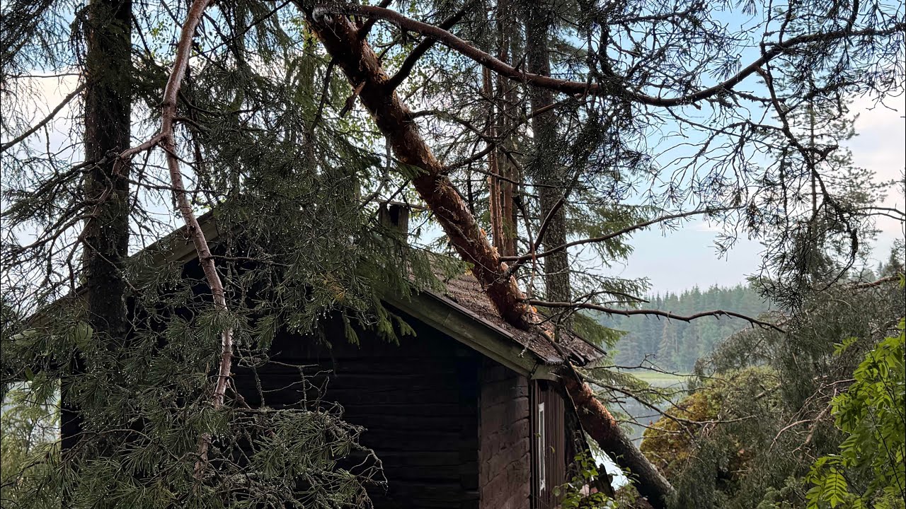 Tuulen puuska saaressa 