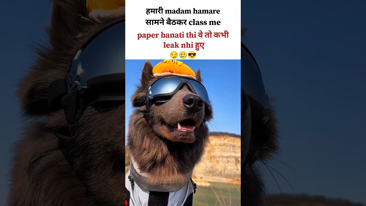 🤡paper Leak🥹😎 #viralvideo #shorts #funny #paperleak #memes