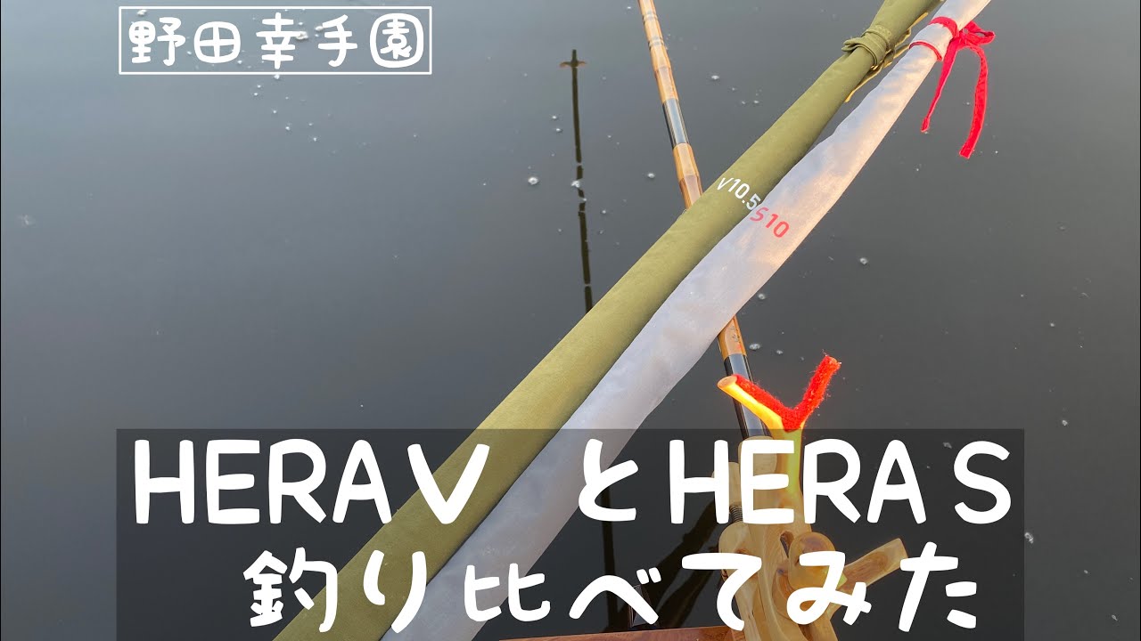 期待の新竿 HERA VとHERA S 釣り比べてみました