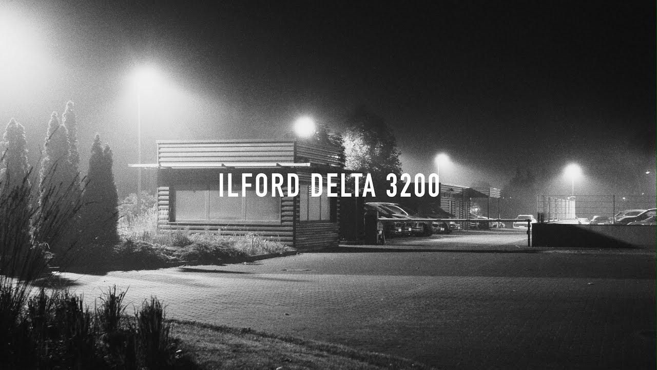 Илфорд Дельта 3200