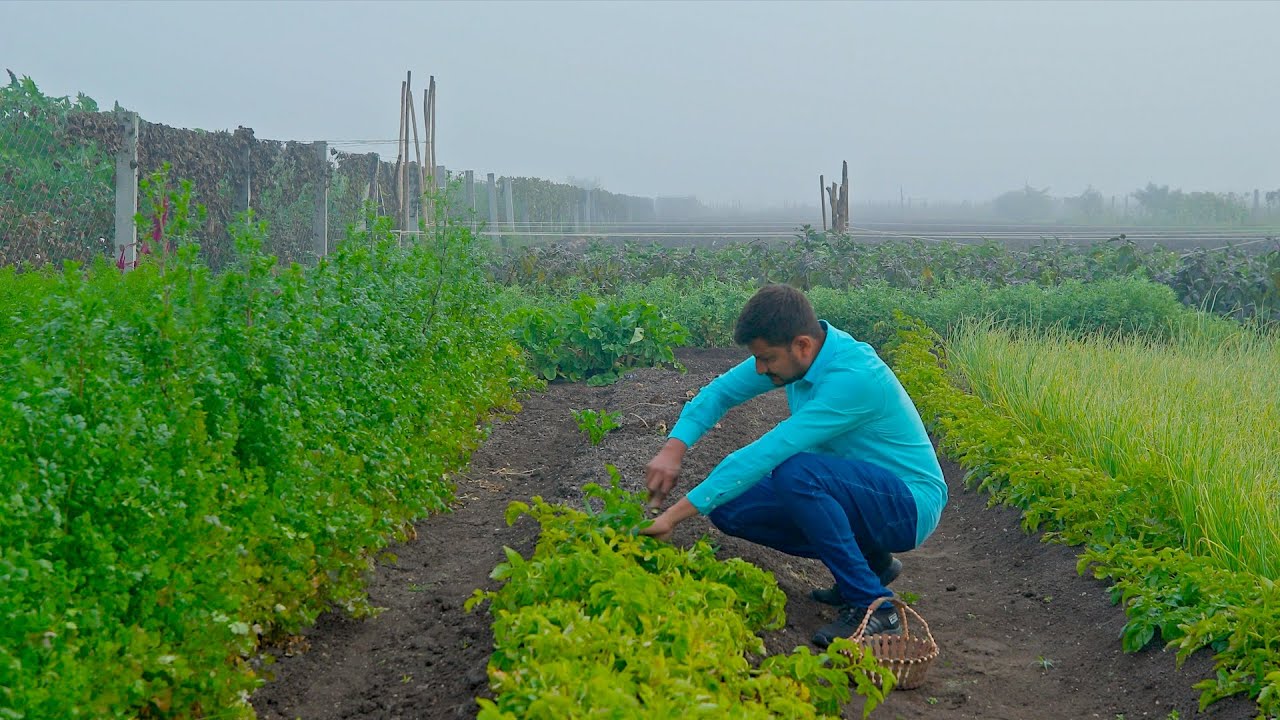 Indian Village Breakfast Cooking | Nikunj Vasoya | Pakhri and Chataniyu BECS S5E5