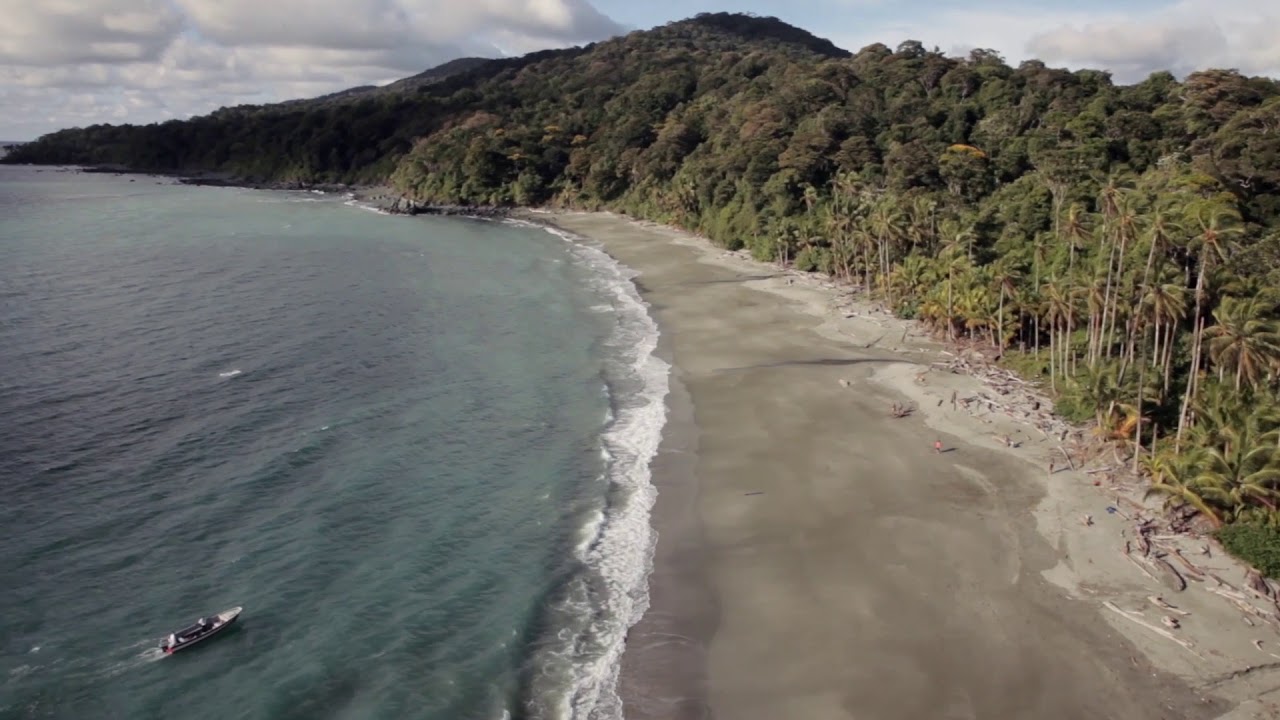 Biodiversidad del Pacífico Colombiano