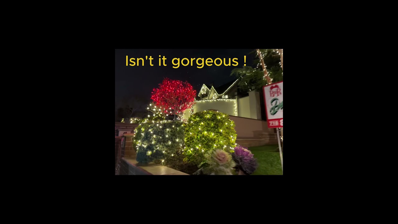 Christmas in NYC 2025 Dyker Heights  Brooklyn , NY