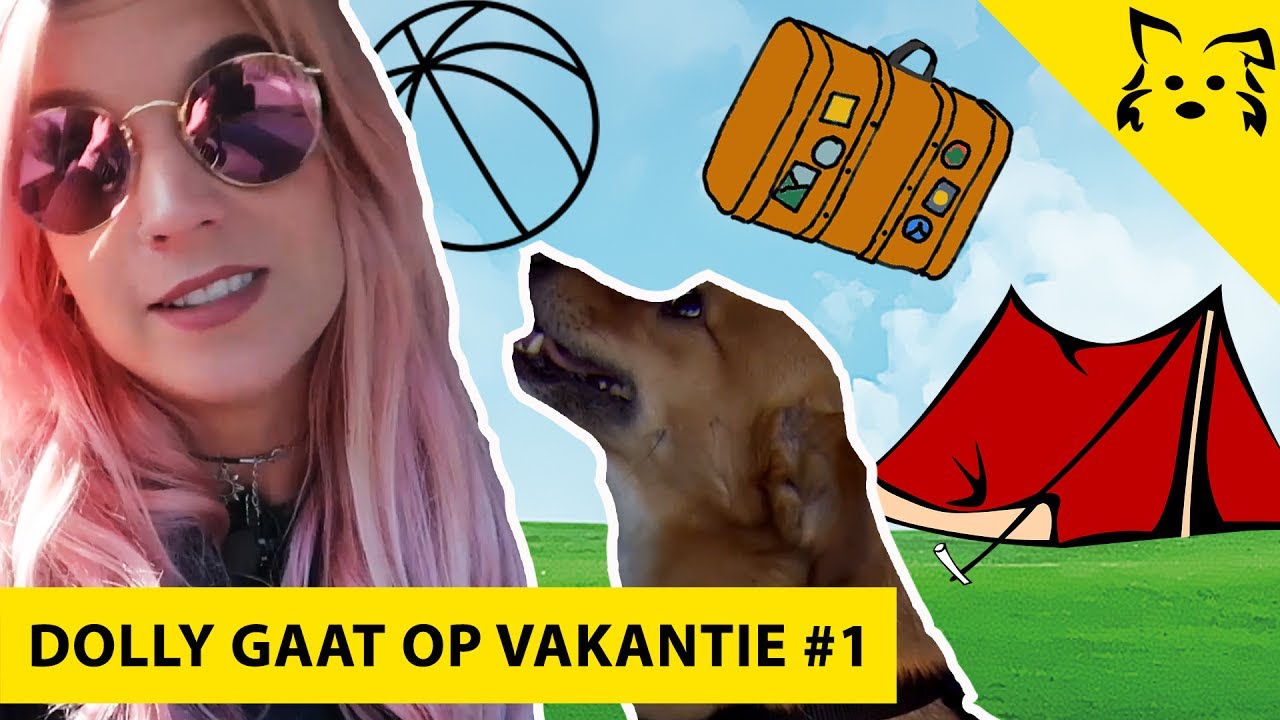 HOW TO's: Alle TIPS voor je HOND in de auto - Dolly op Vakantie #1
