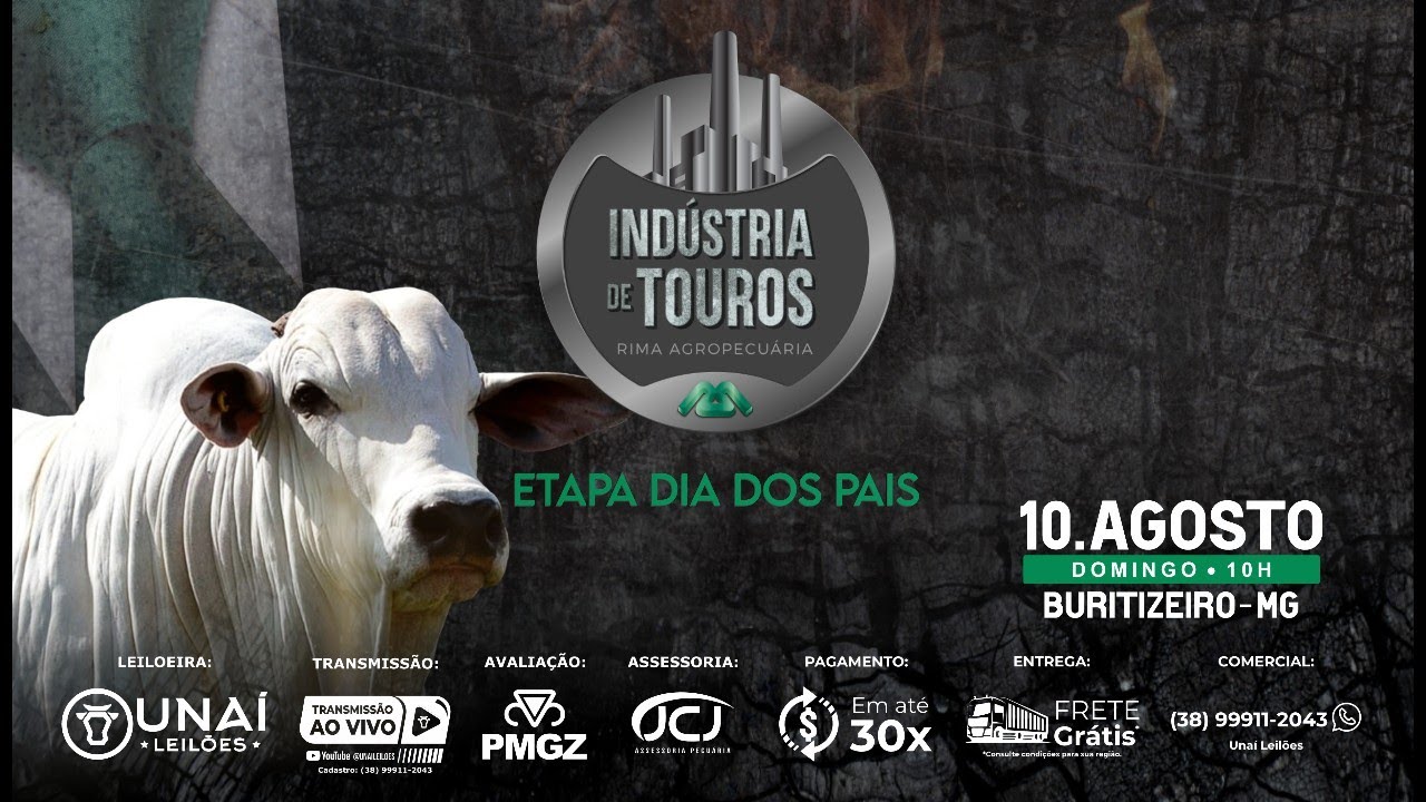 LEILÃO INDUSTRIA DE TOUROS RIMA - ETAPA DIA DOS PAIS - BURITIZEIRO - MG - 10-08-2025