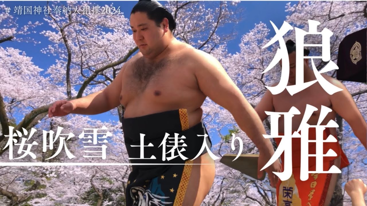 美しすぎる力士たち【靖国神社奉納大相撲】桜吹雪の狼雅、大の里、若隆景、一山本ほか