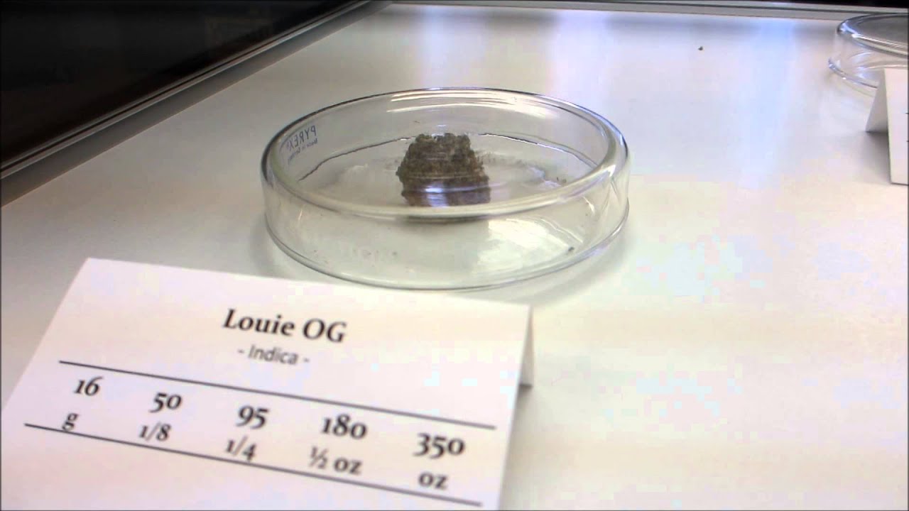 StOned Society Tv  Dispensary Tour- Opening Day at 420 Fire Department