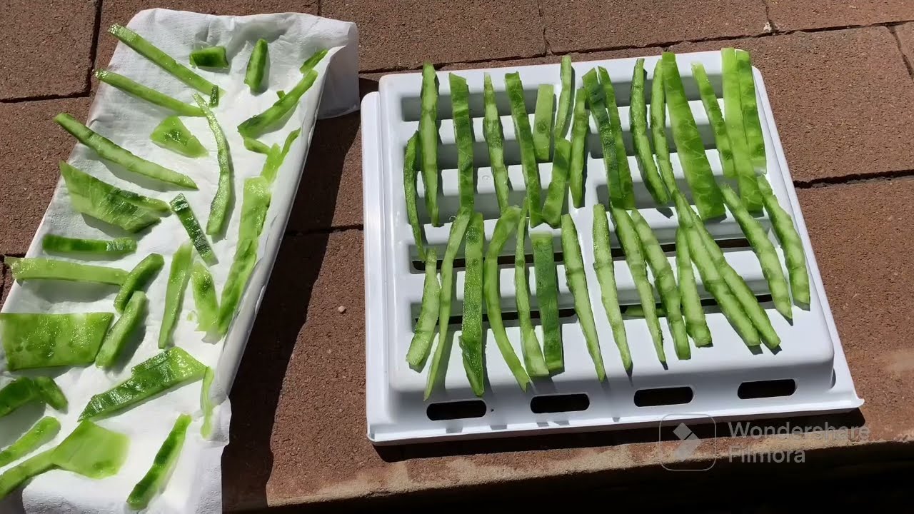 How to make cactus powder #cactus #cactuspowder