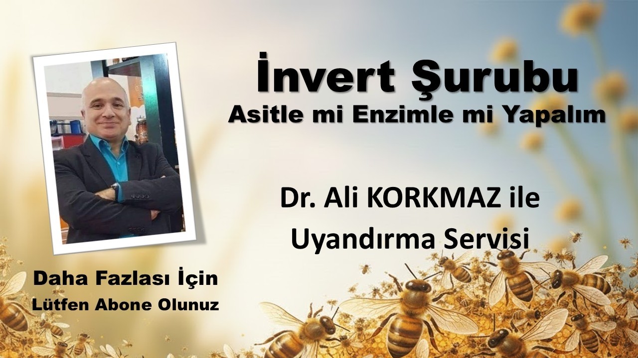 İnvert Şurubu Asitle mi Enzimle mi Yapalım