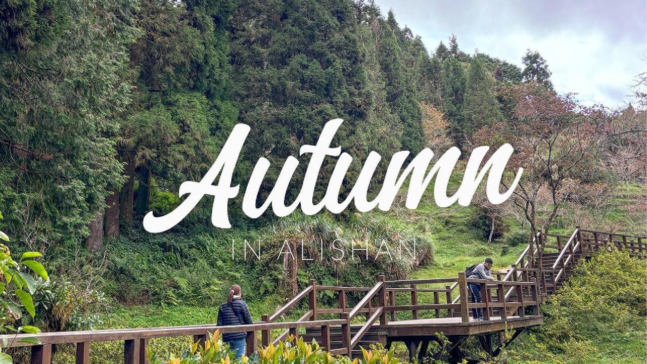 TAIWAN 2024 (DAY2): DIY TRIP TO ALISHAN