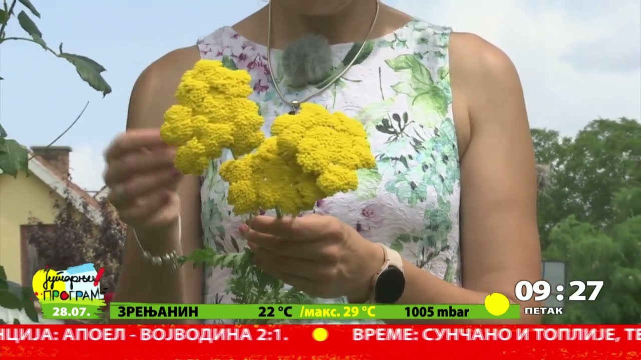 RTS JUTARNJI PROGRAM - Ritam vrta - Hajdučka trava