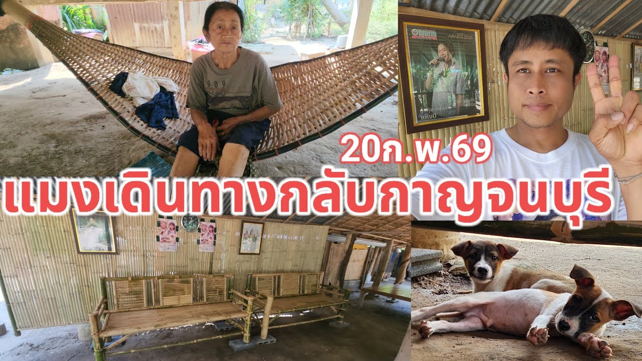 20ก.พ.69 แมงกาบี้เดินทางกลับกาญจนบุรี ไลฟ์สดน้องต้นข้าวให้fc.พ่อๆแม่ๆได้รับชมกันครับ
