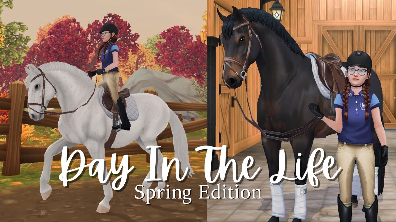 Day In The Life || Chaos + More!! || SSO RRP || Bethany Mountainwood