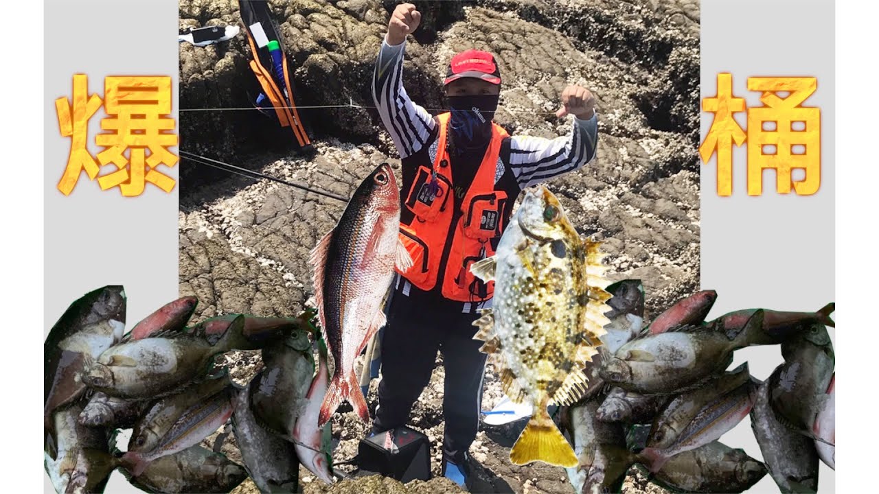 澎湖磯釣｜真的斷竿了上礁魚滿天飛！ #澎湖#屈爪嶼#磯釣 FT浣熊漁樂咖