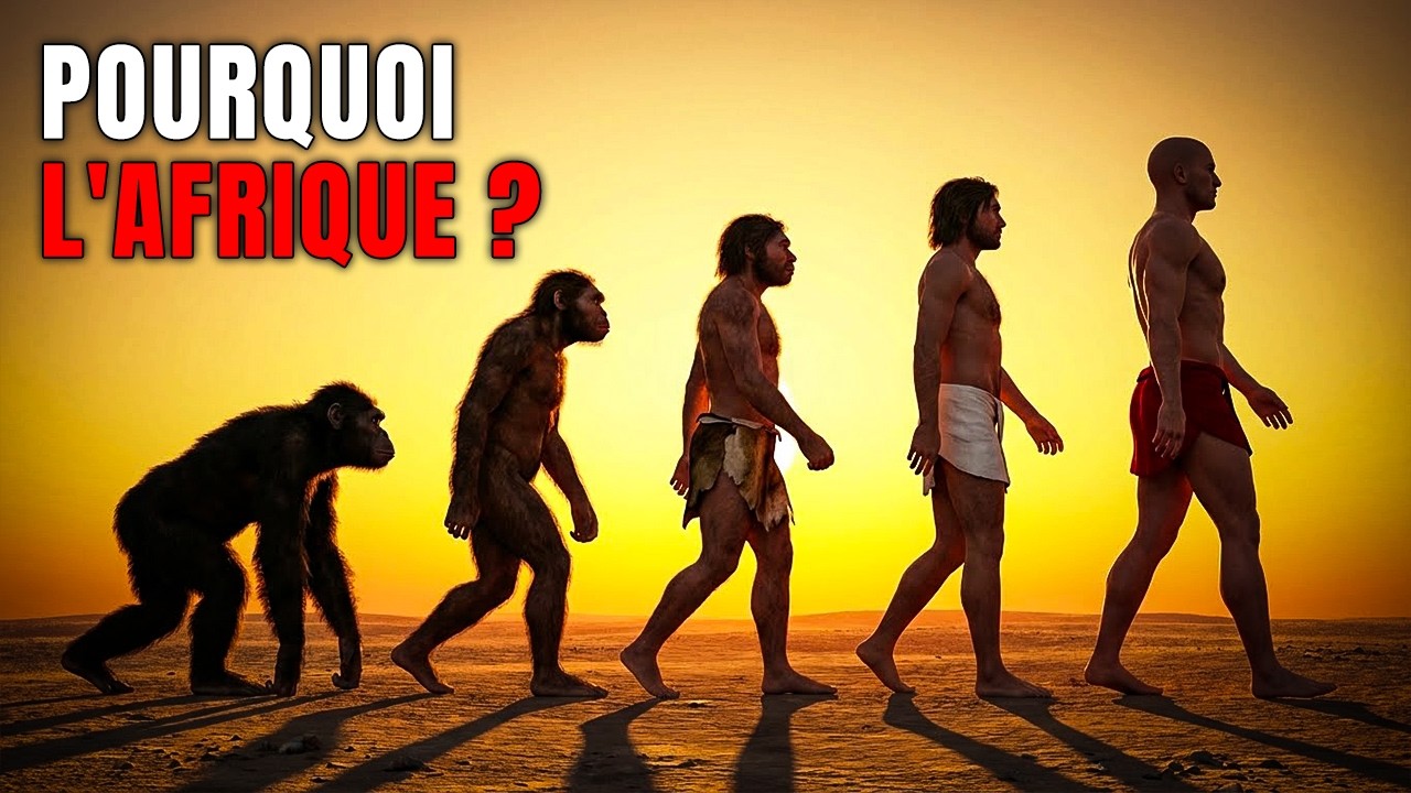 Pourquoi l'Homme a évolué UNIQUEMENT en Afrique | Documentaire Pour Dormir