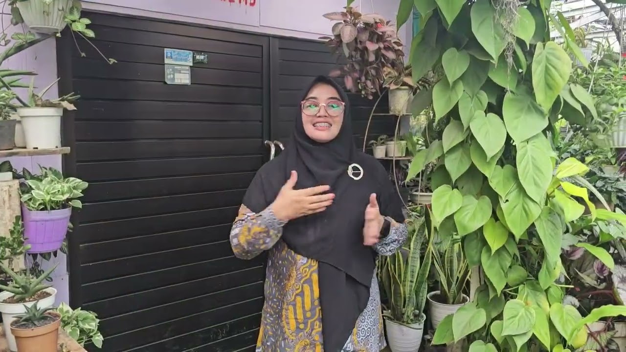 Beli bunga bunga disini. Pusat bunga bunga