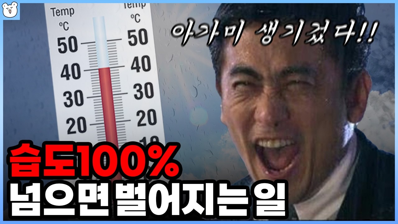 습도가 높으면 왜 더 더운 걸까? 우리나라가 유독 습하고 더운 이유