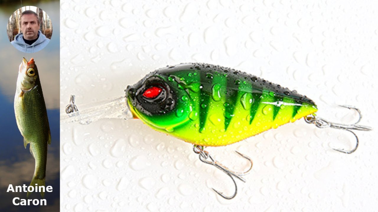 Découvrez le Crankbait : Le Leurres Tout Terrain Indispensable pour vos Pêches!