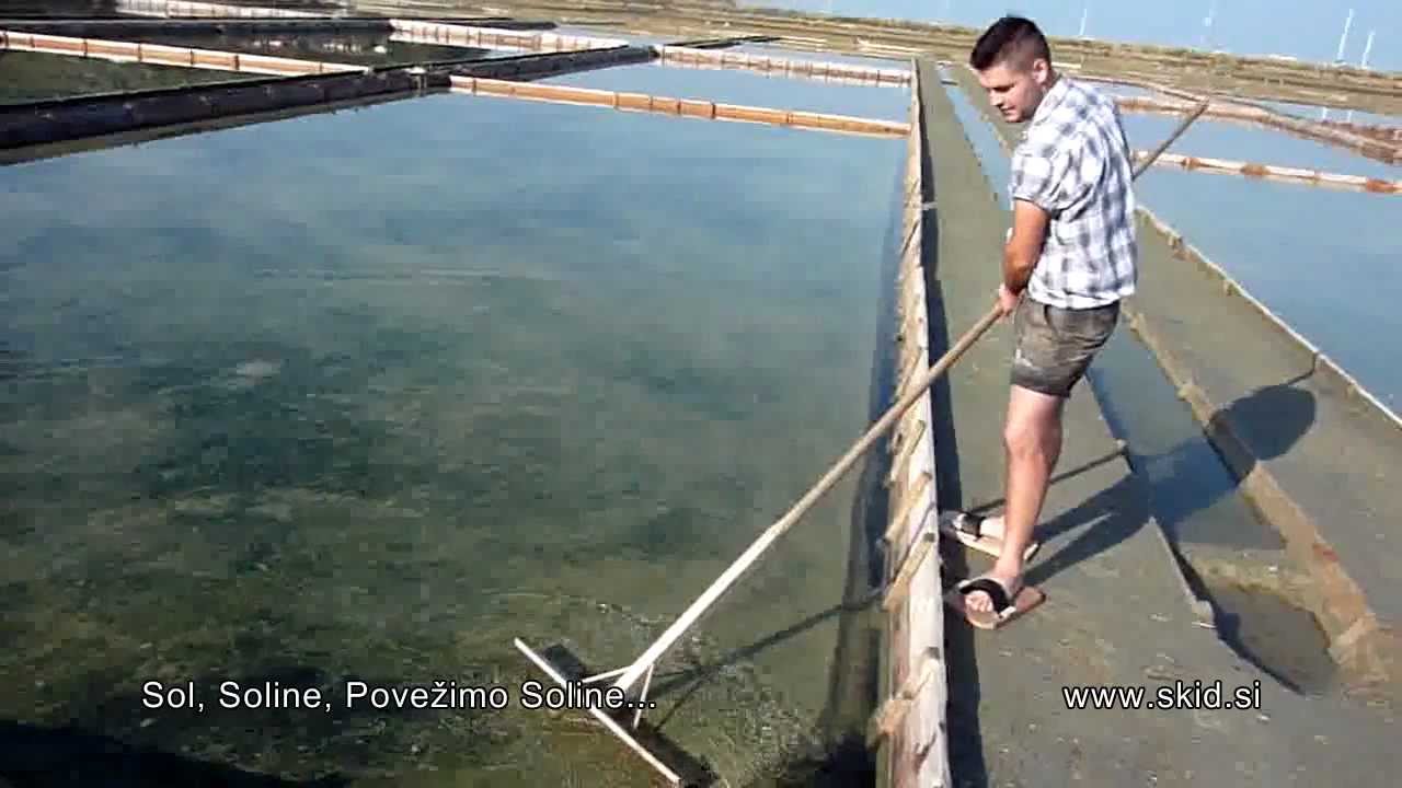 Povežimo soline 2013